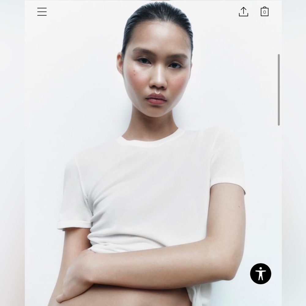 NWOT Zara Extrafine Knit Top. (never worn!)